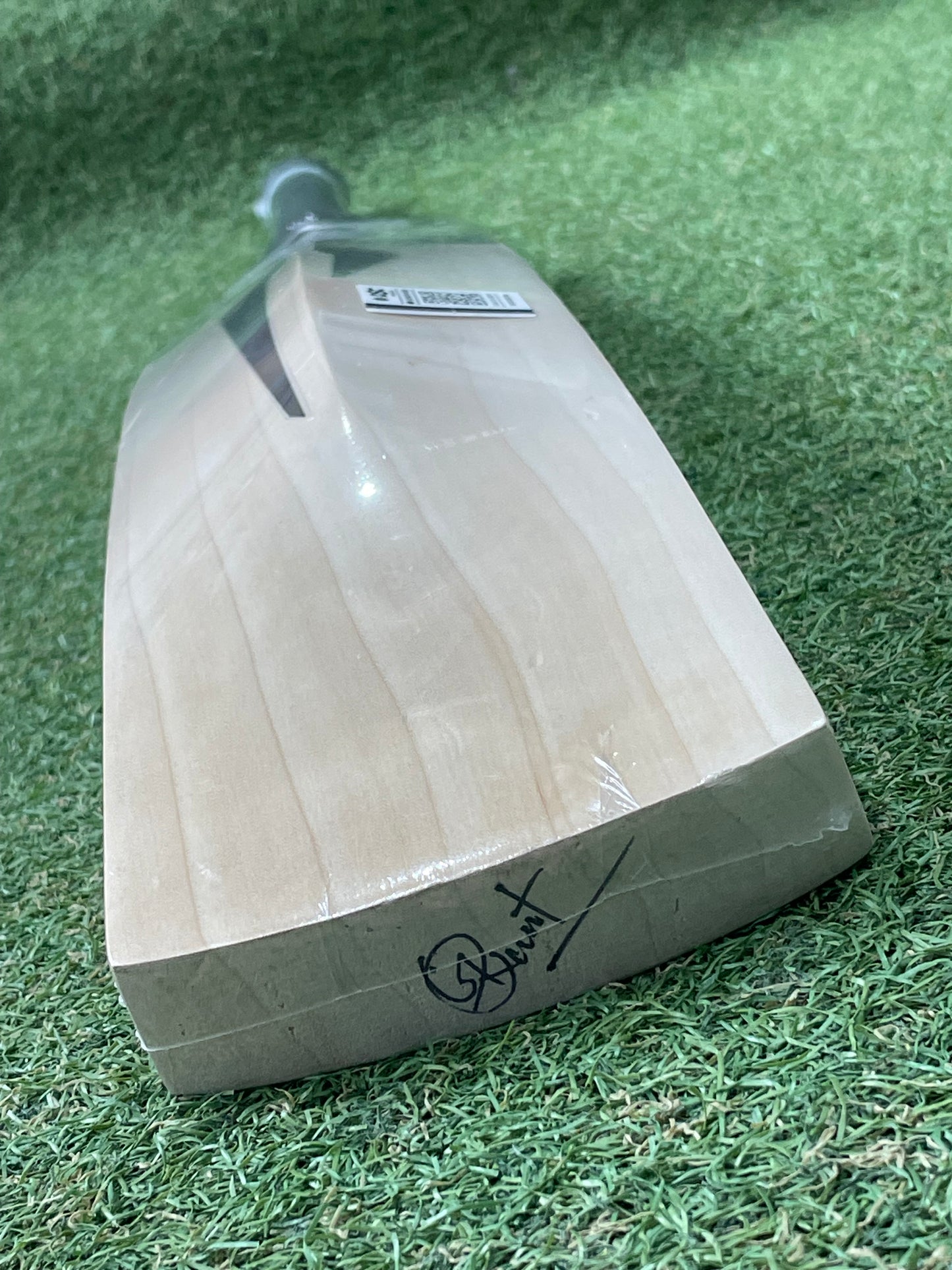DSC Blak 222 Cricket Bat (2lb 8oz)