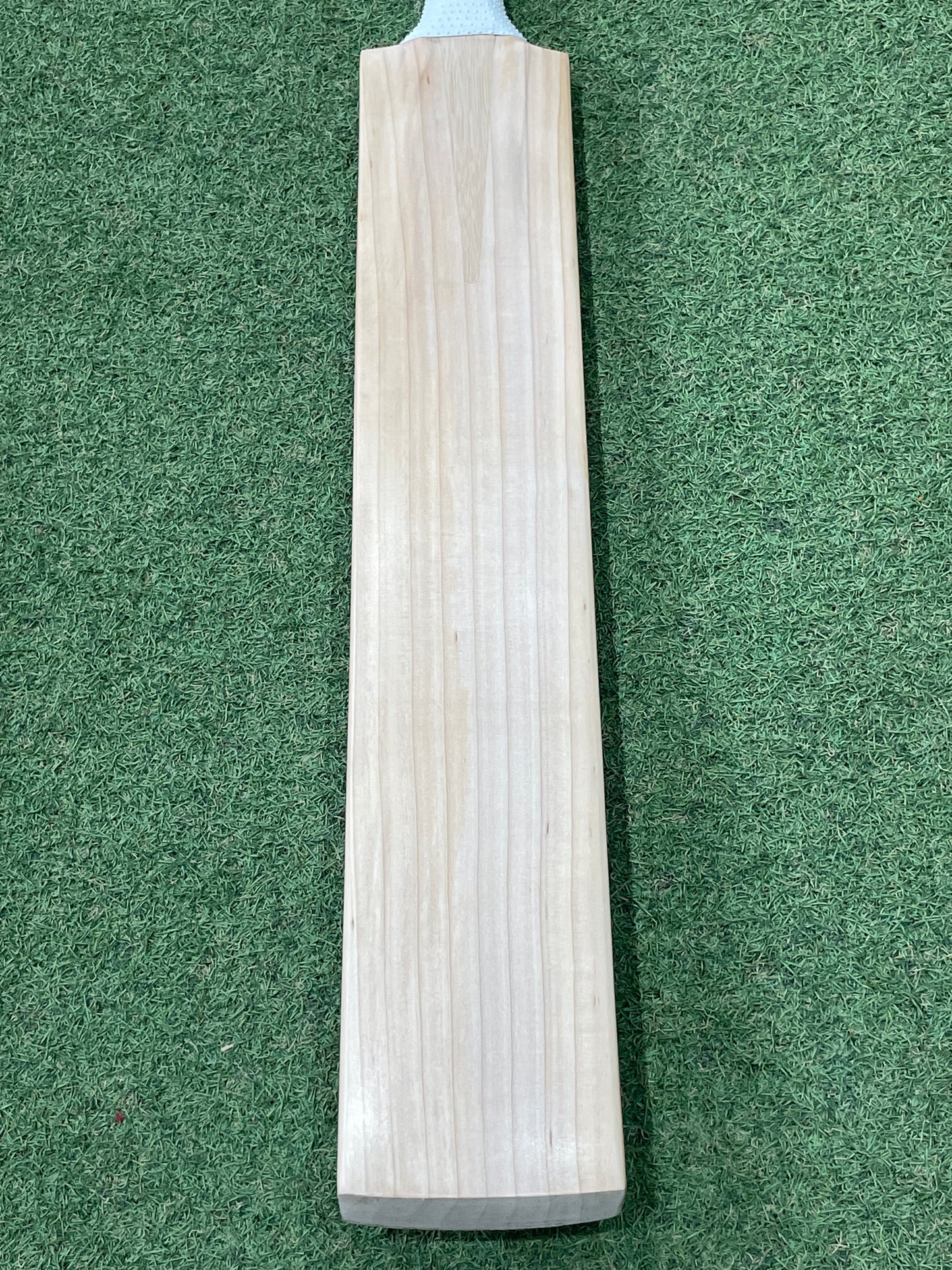 MB Malik Plain Cricket Bat (2lb 9oz) Blue Willow