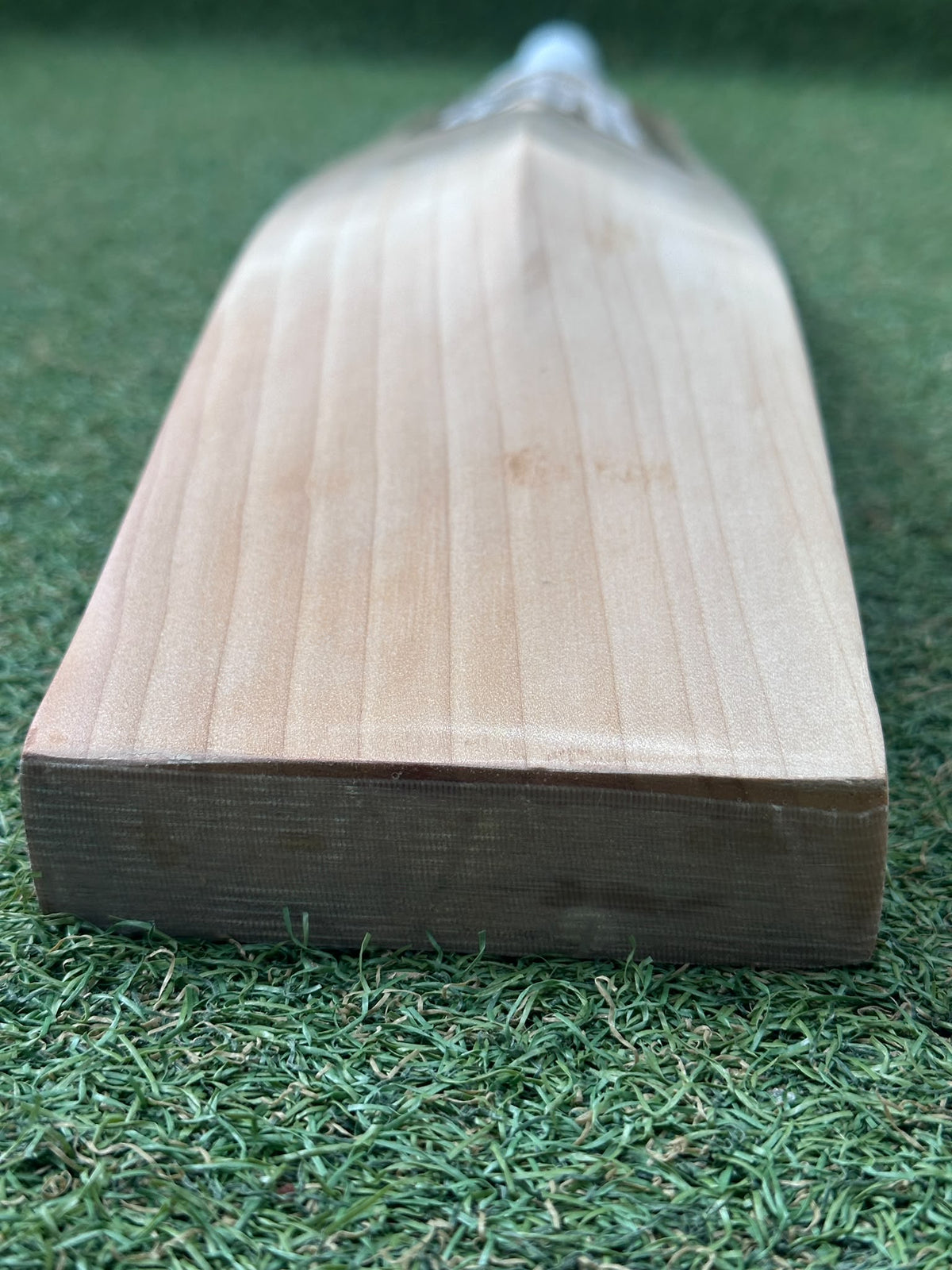 TCS White Custom Cricket Bat (2lb 9oz)