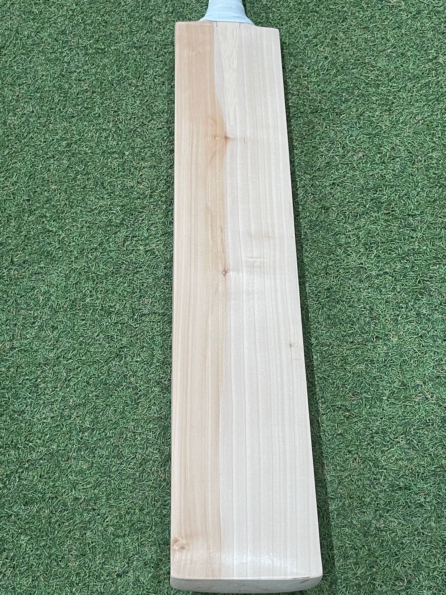 Plain Sachin Tendulkar Profile Cricket Bat (2lb 9oz)