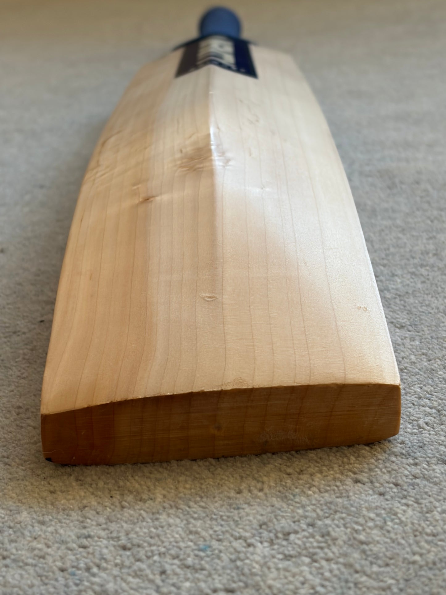 Infinity Genesis Players Cricket Bat (2lb 10oz)