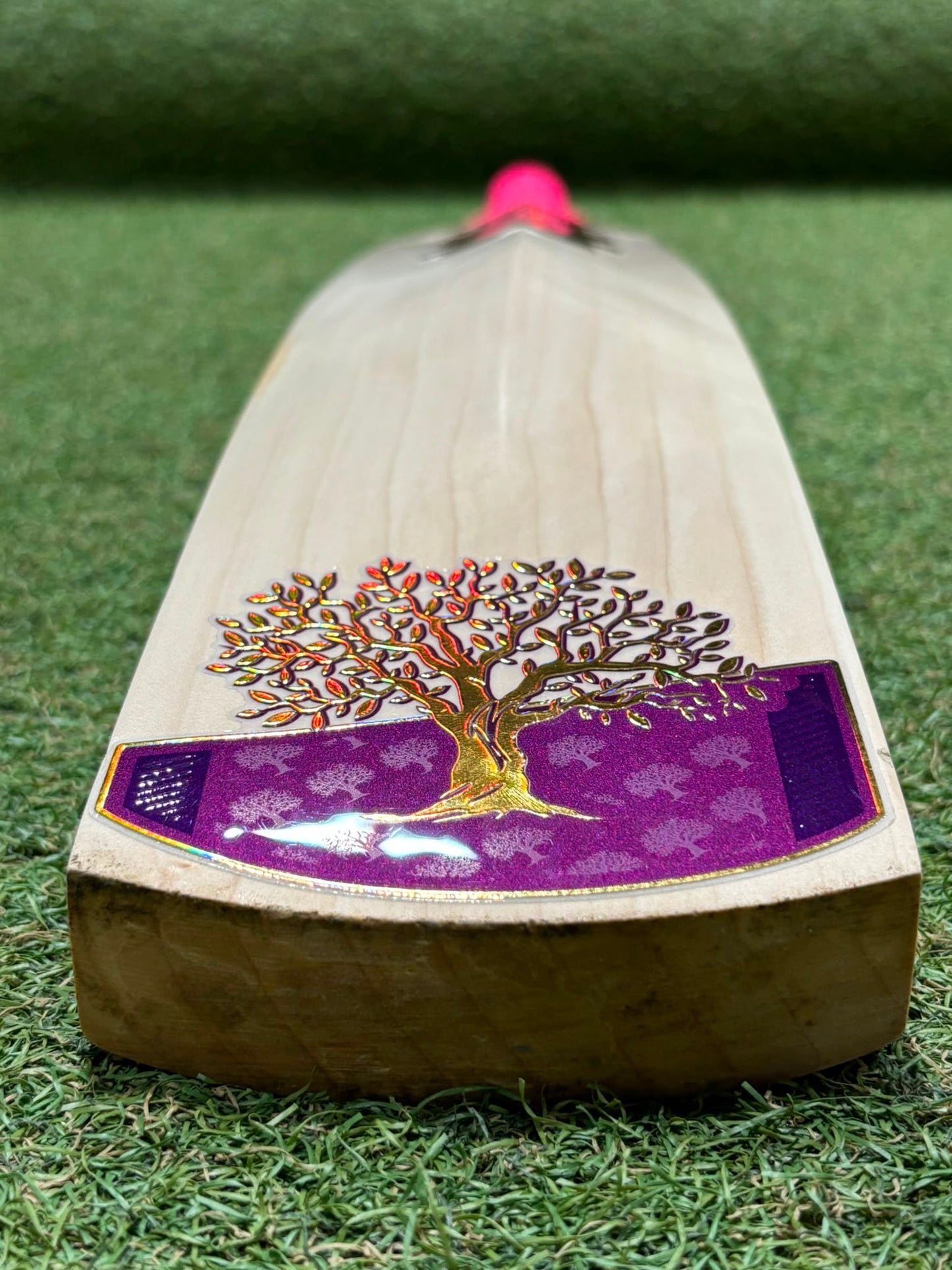 WDA Special Edition Cricket Bat (2lb 10oz)