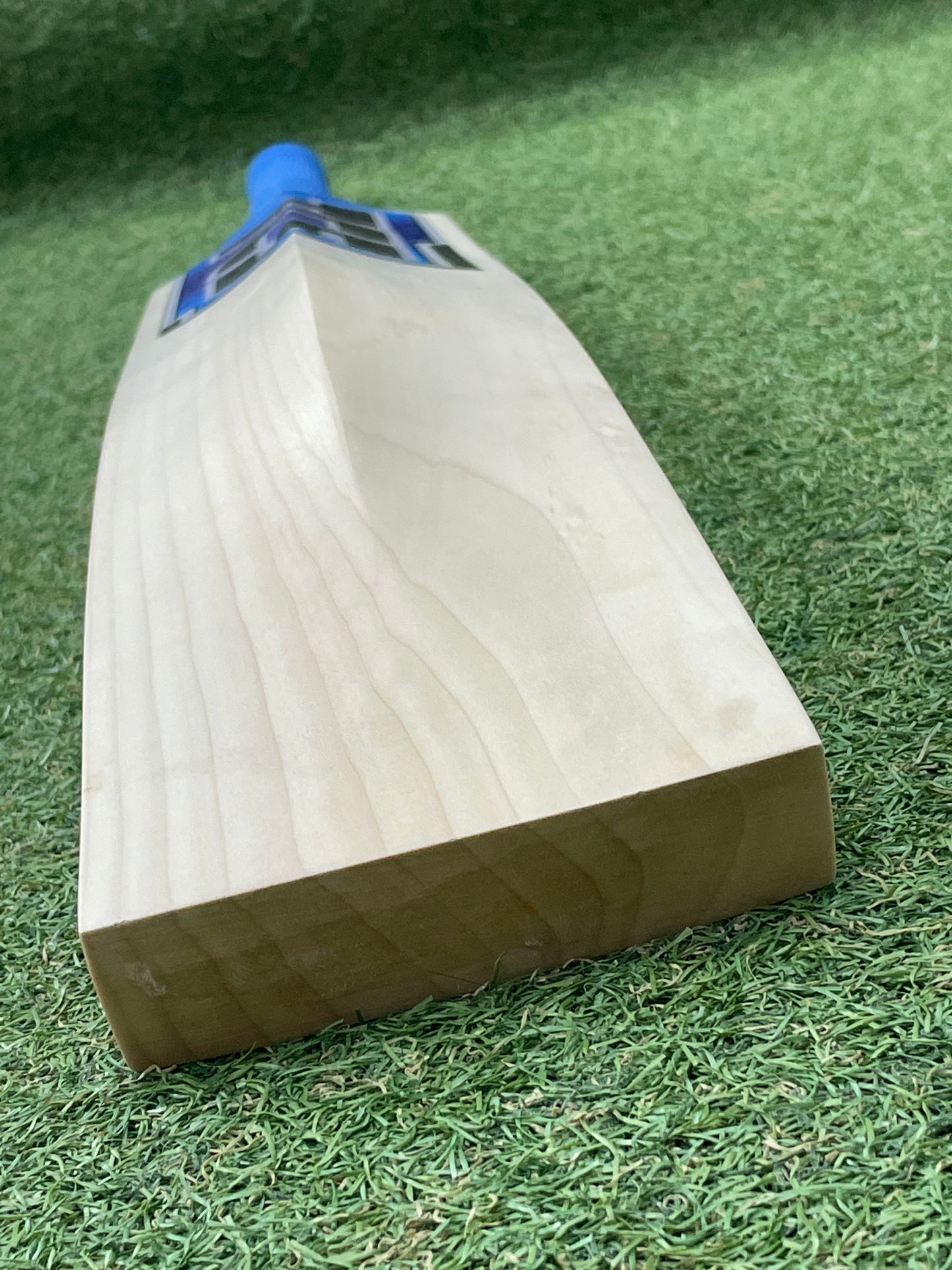 TCS Players Cricket Bat (2lb 9oz)