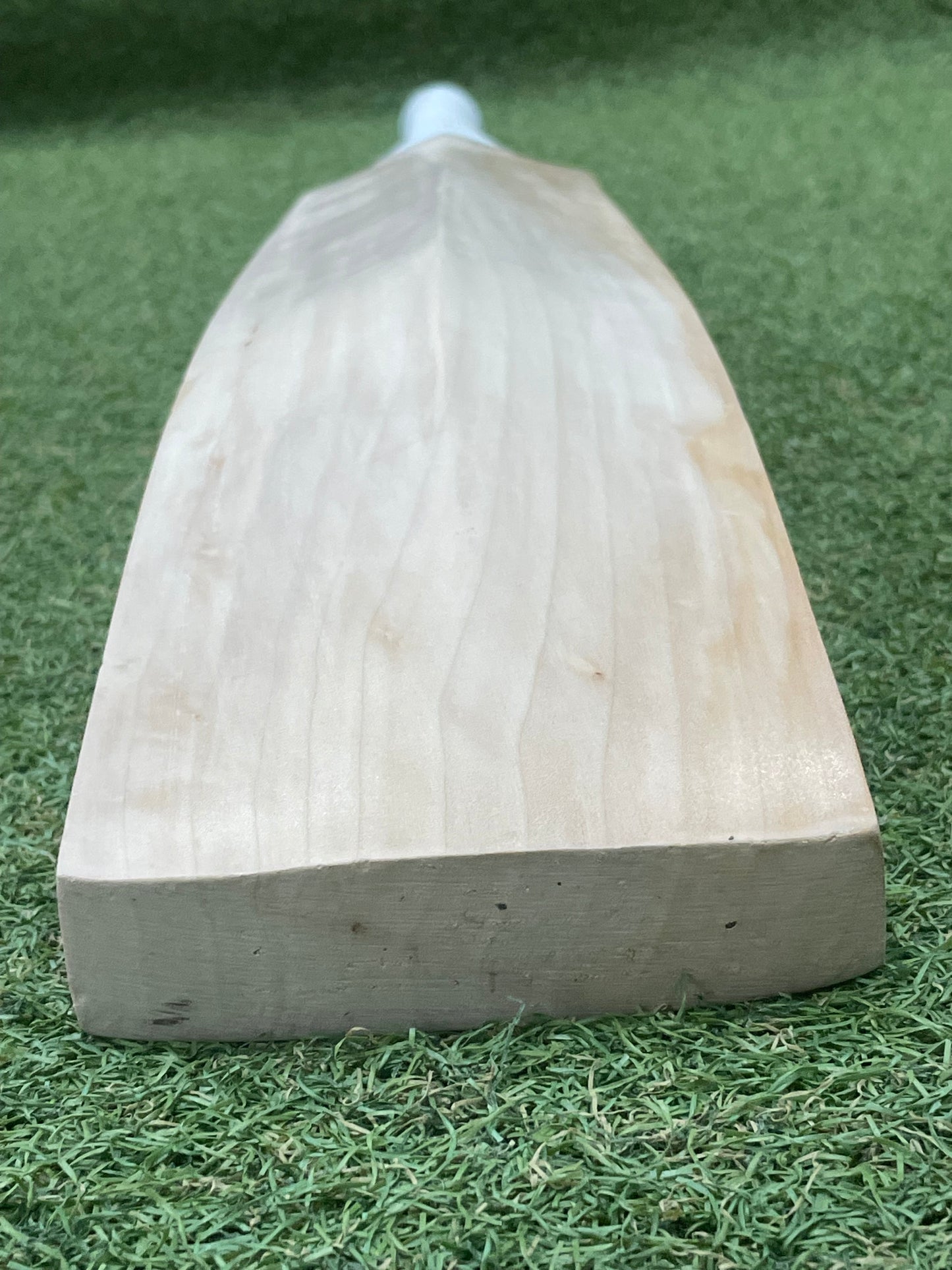 Plain Sachin Tendulkar Profile Cricket Bat (2lb 9oz)
