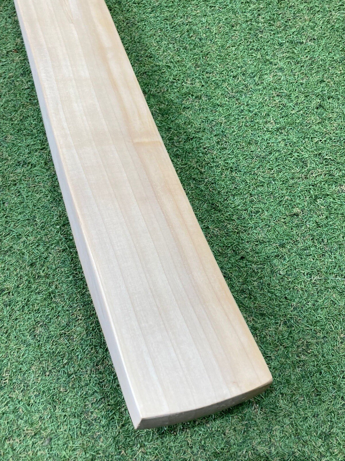 SS Ton Plain Pro Player Cricket Bat - Brand New - 2lb 11oz - Massive Profile