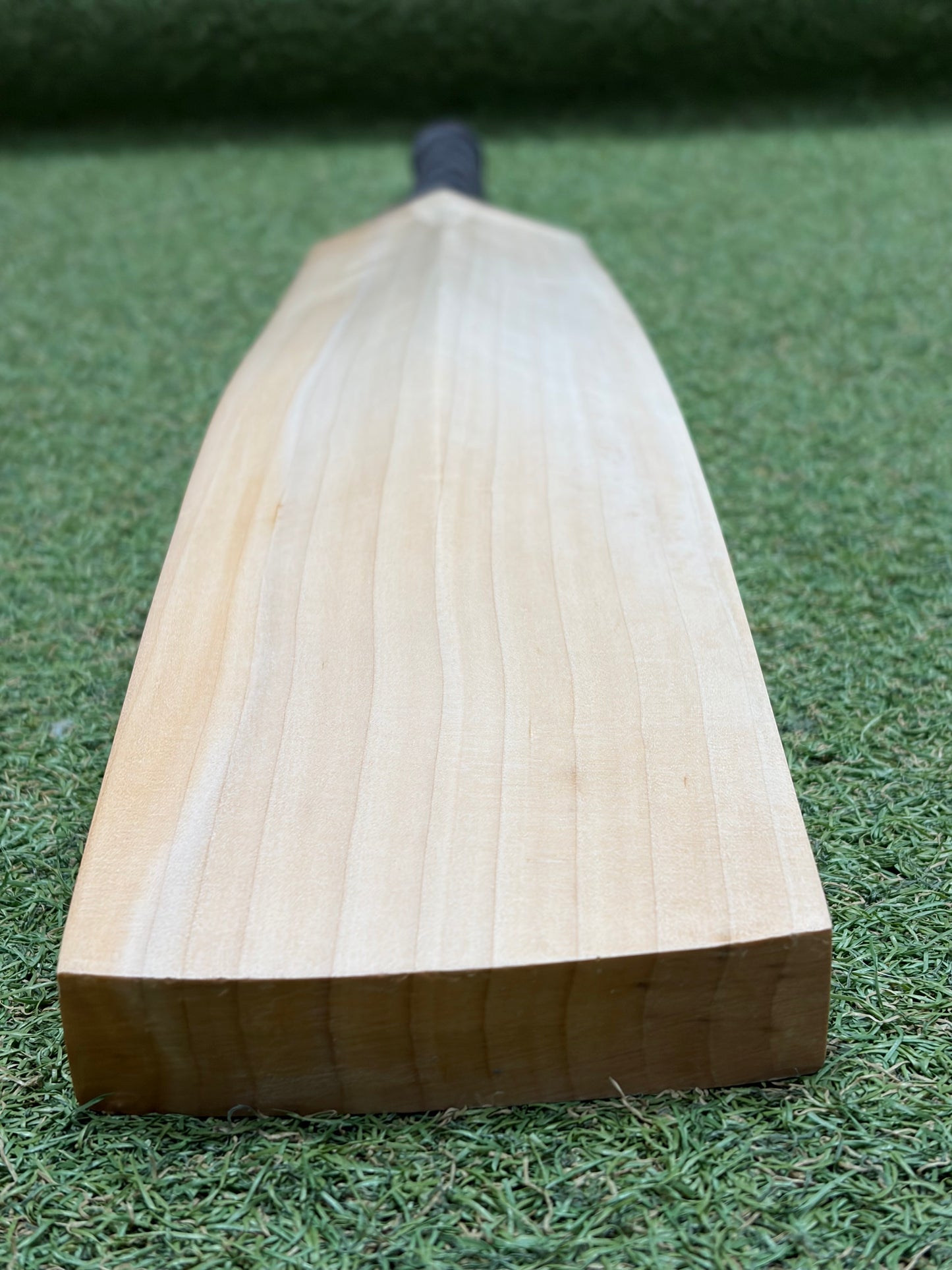 TCS Plain Grade 1+ Cricket Bat (2lb 10oz)