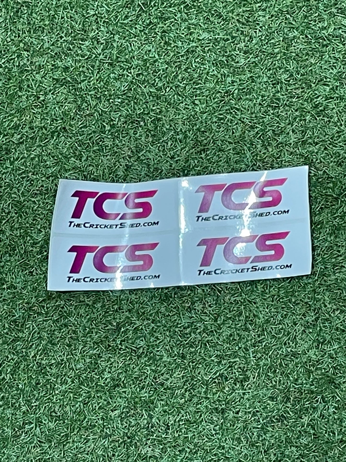 TCS Back Of The Bat Sponsor Cricket Bat Stickers