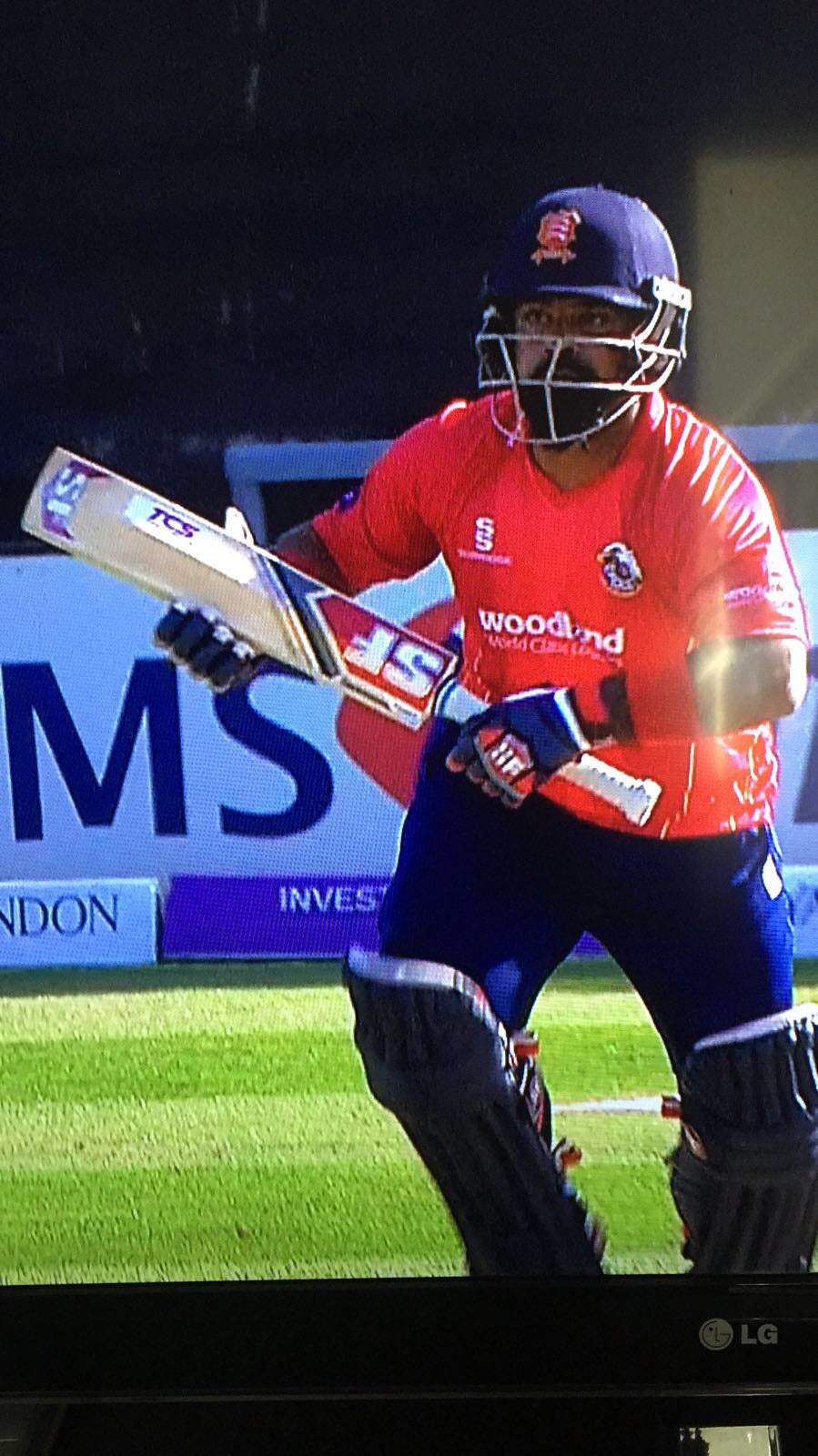 TCS Back Of The Bat Sponsor Cricket Bat Stickers