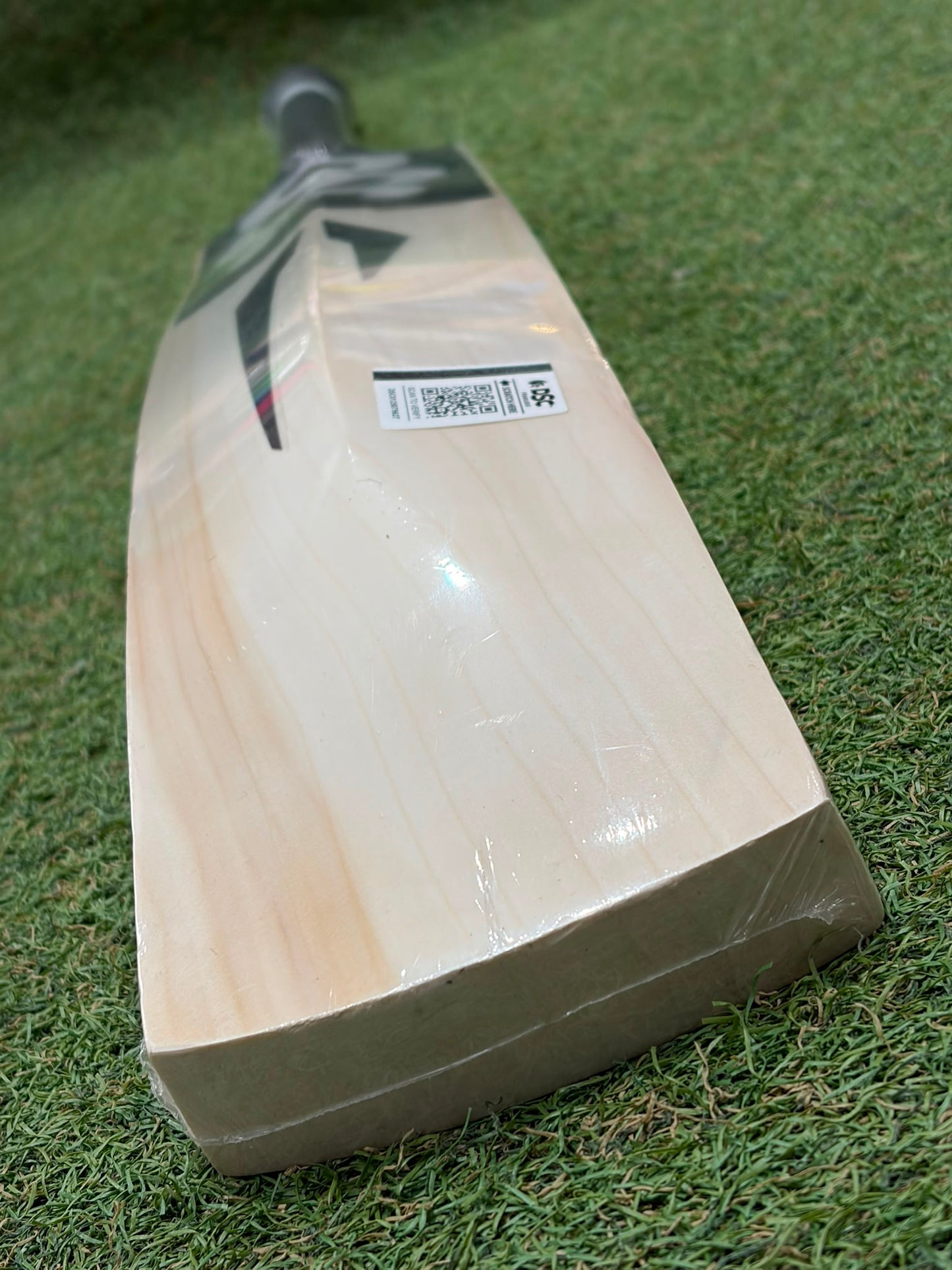DSC Blak 222 Cricket Bat (2lb 9oz)