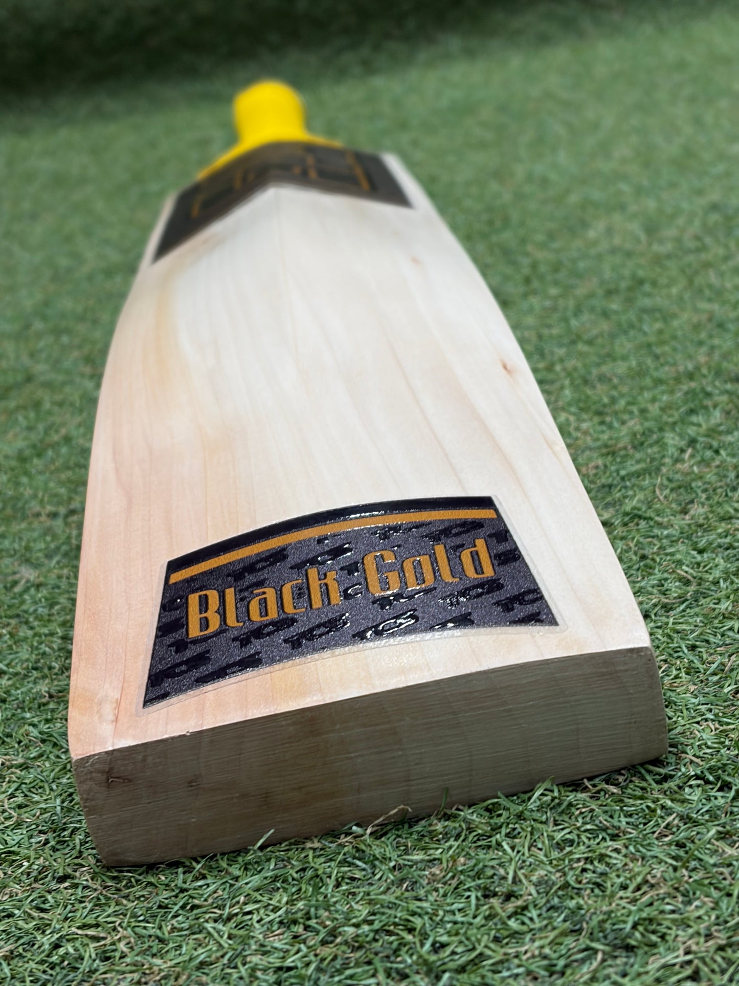 TCS Black Gold Cricket Bat (2lb 10oz)