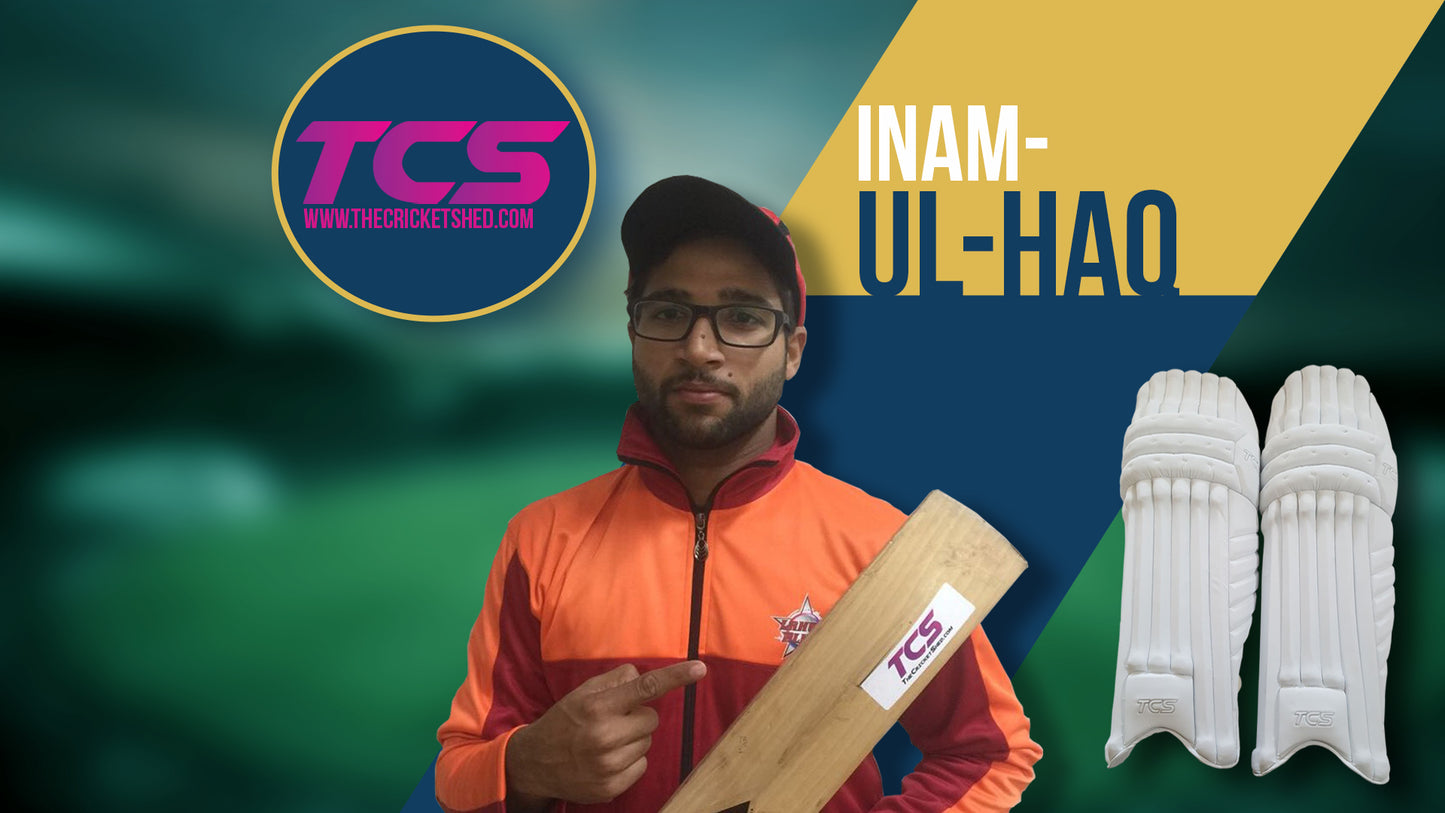 TCS Back Of The Bat Sponsor Cricket Bat Stickers