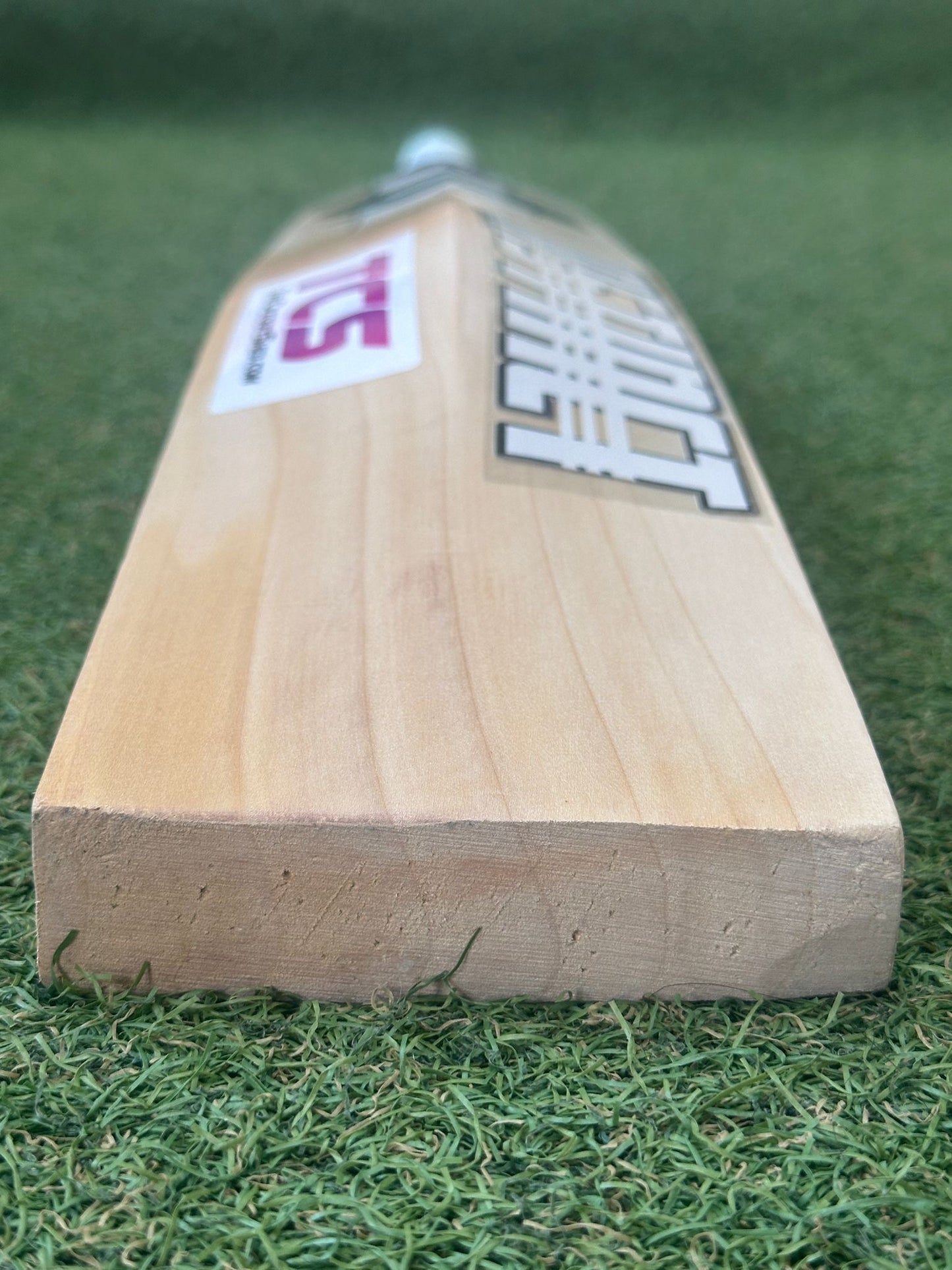 CA Instinct Butterfly Cricket Bat