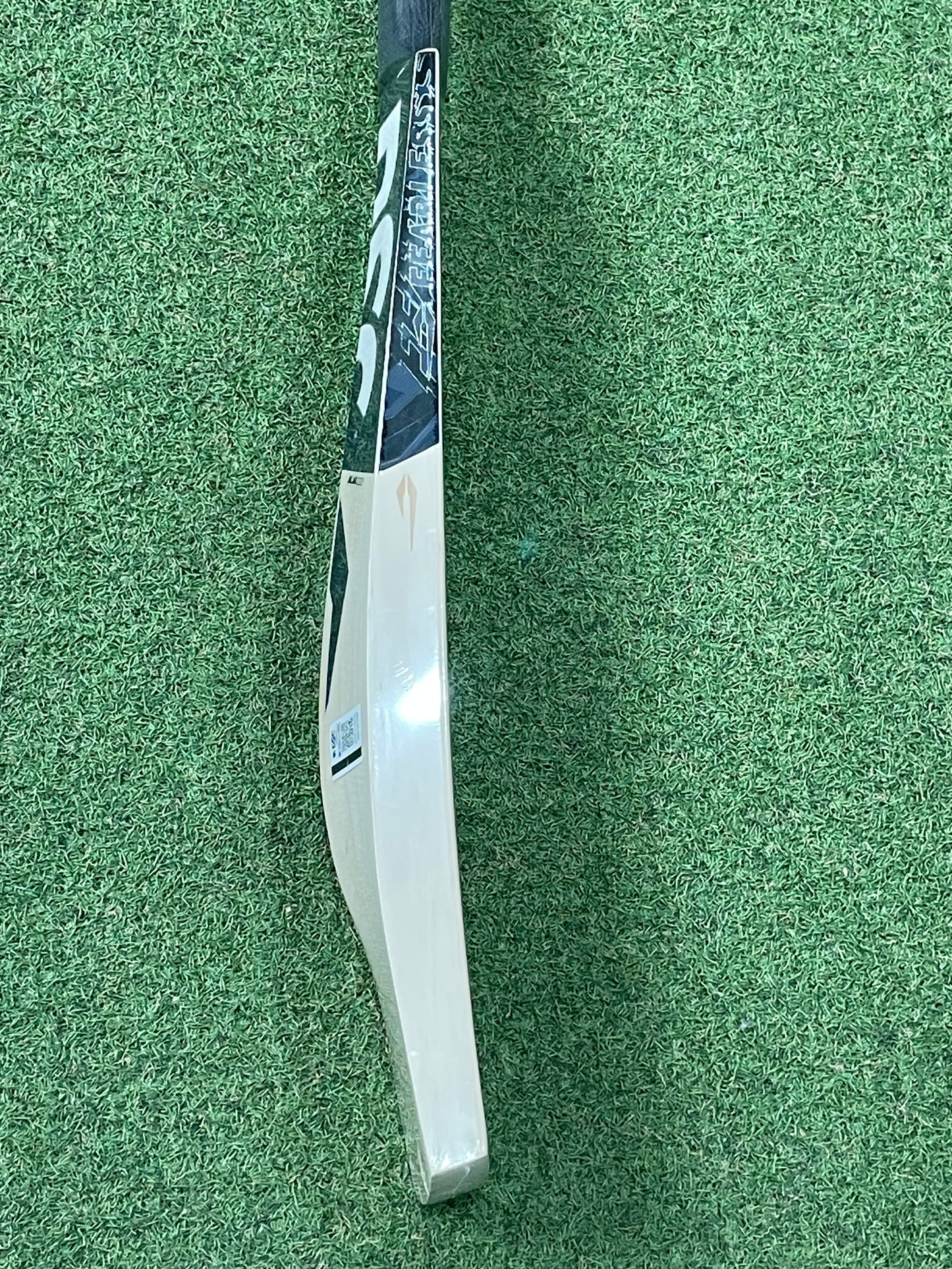 DSC Blak 222 Cricket Bat (2lb 8oz)