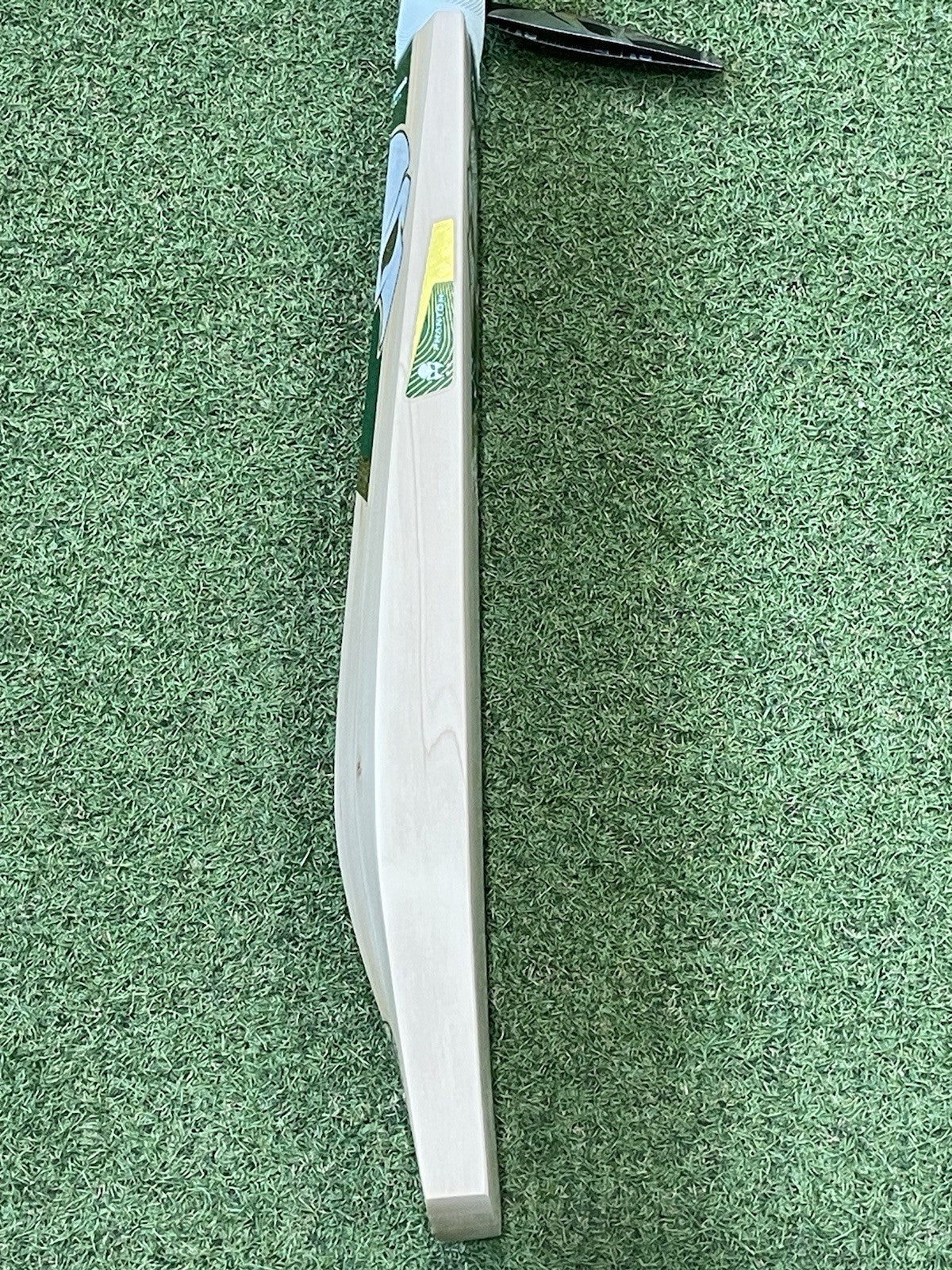 Phantom Enigma Performance Cricket Bat - 2lb 9oz - Brand New! Short Blade LH
