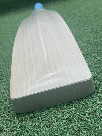 Plain Hell 4 Leather (H4L) Pro Grade Cricket Bat (2lb 11oz)