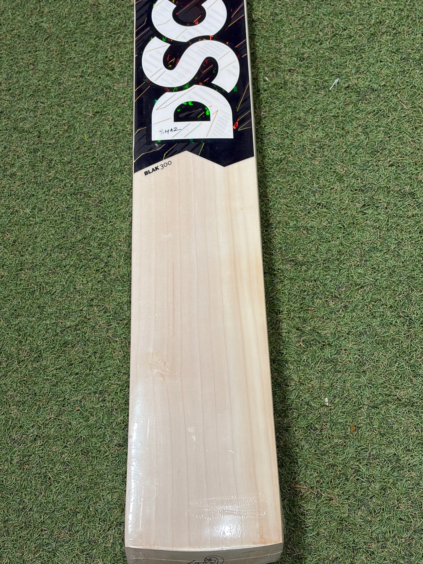 DSC Blak 300 Cricket Bat (2lb 8oz)