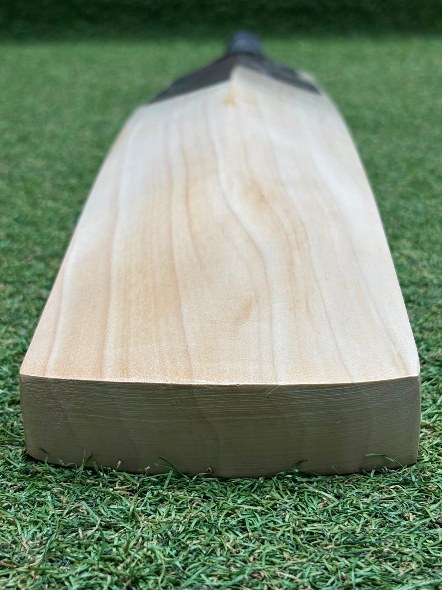 CA Pro Blackout Cricket Bat (2lb 9oz)