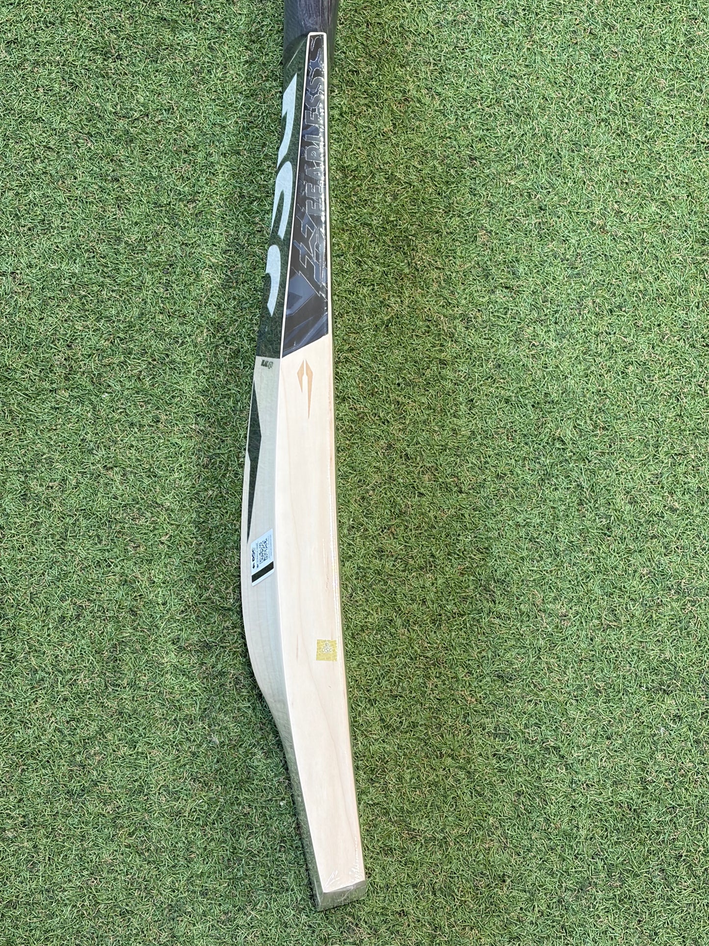 DSC Blak 450 Cricket Bat (2lb 9oz)