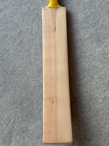 CA Plain Customised Cricket Bat (2lb 9oz)
