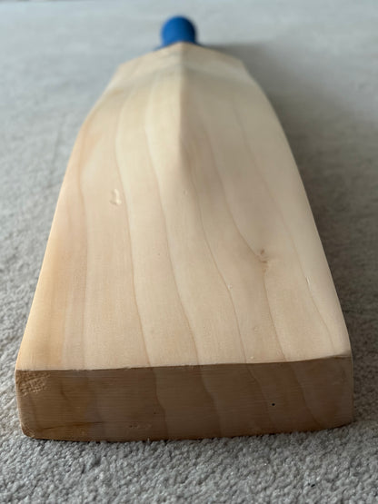 CA Plain Cricket Bat (2lb 8oz)