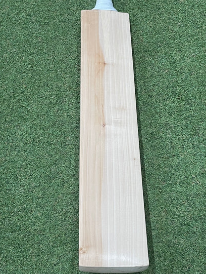 Plain Sachin Tendulkar Profile Cricket Bat (2lb 9oz)