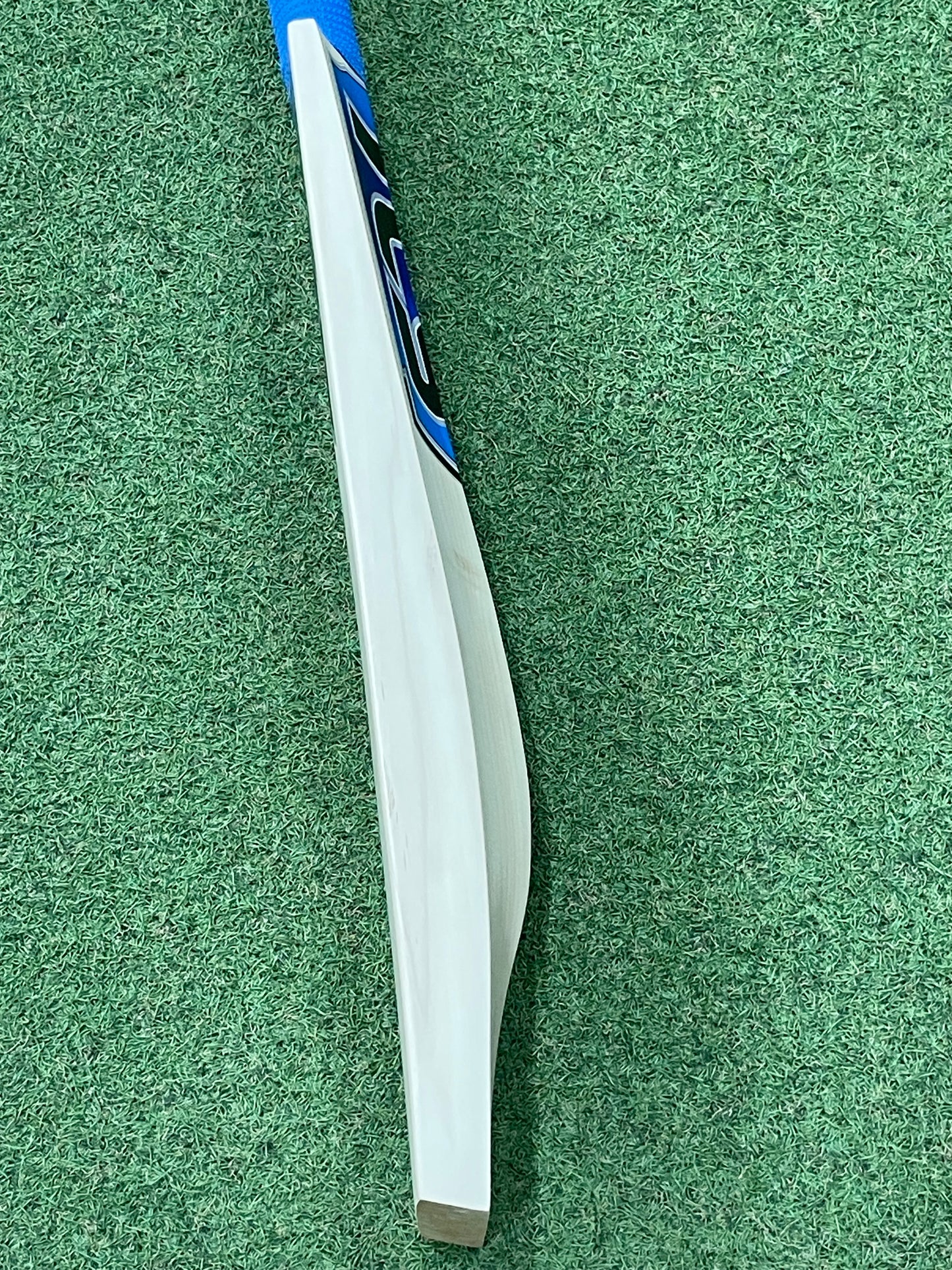 TCS Players Cricket Bat (2lb 9oz)