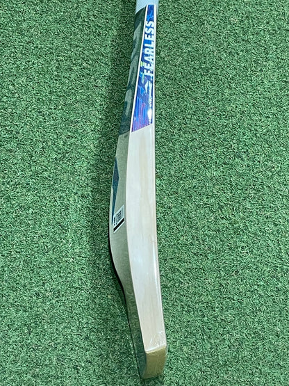 DSC Blu 500 Cricket Bat (2lb 8oz)