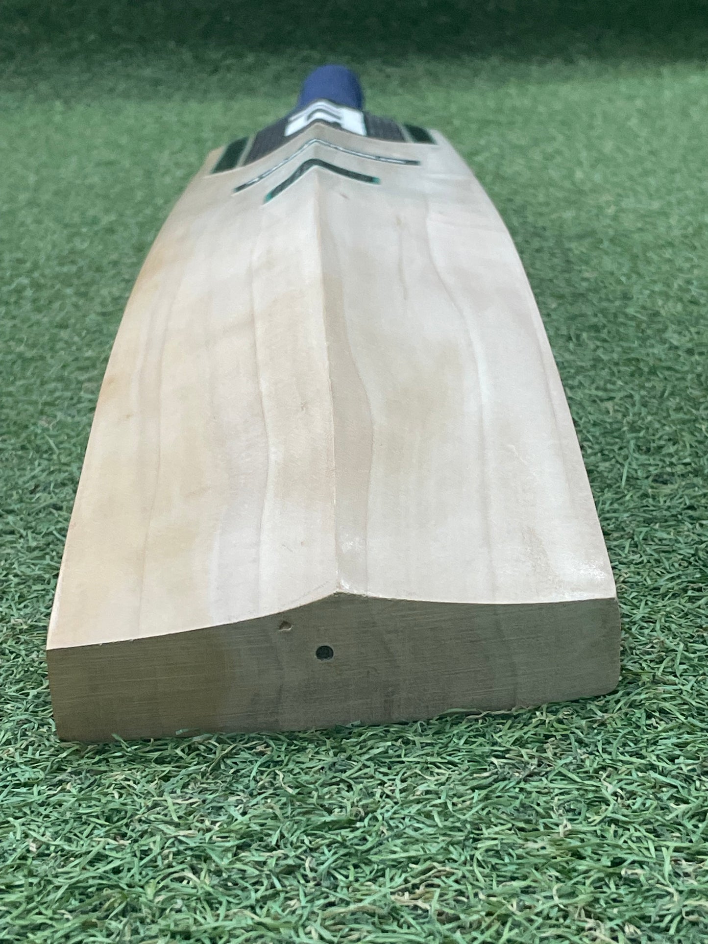 TCS Black Edition Cricket Bat (2lb 10oz)