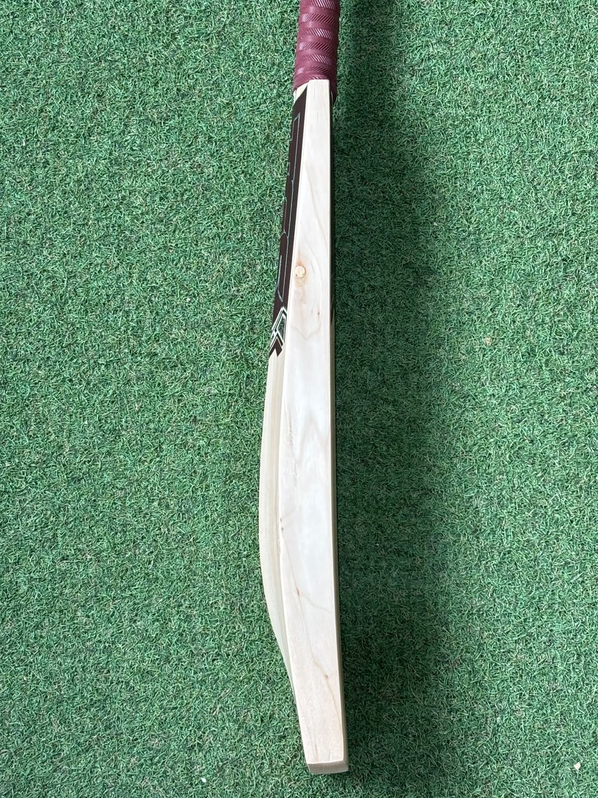 TCS Ruby Player Cricket Bat (2lb 8oz)