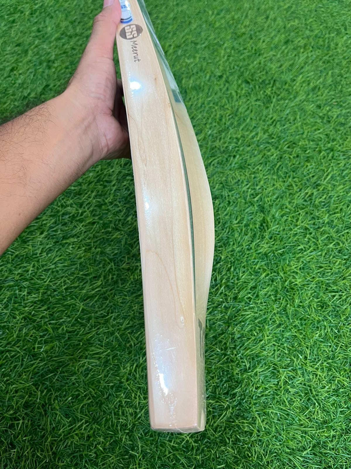 SS Ton Ryan Rickleton Player Cricket Bat (2lb 7oz)