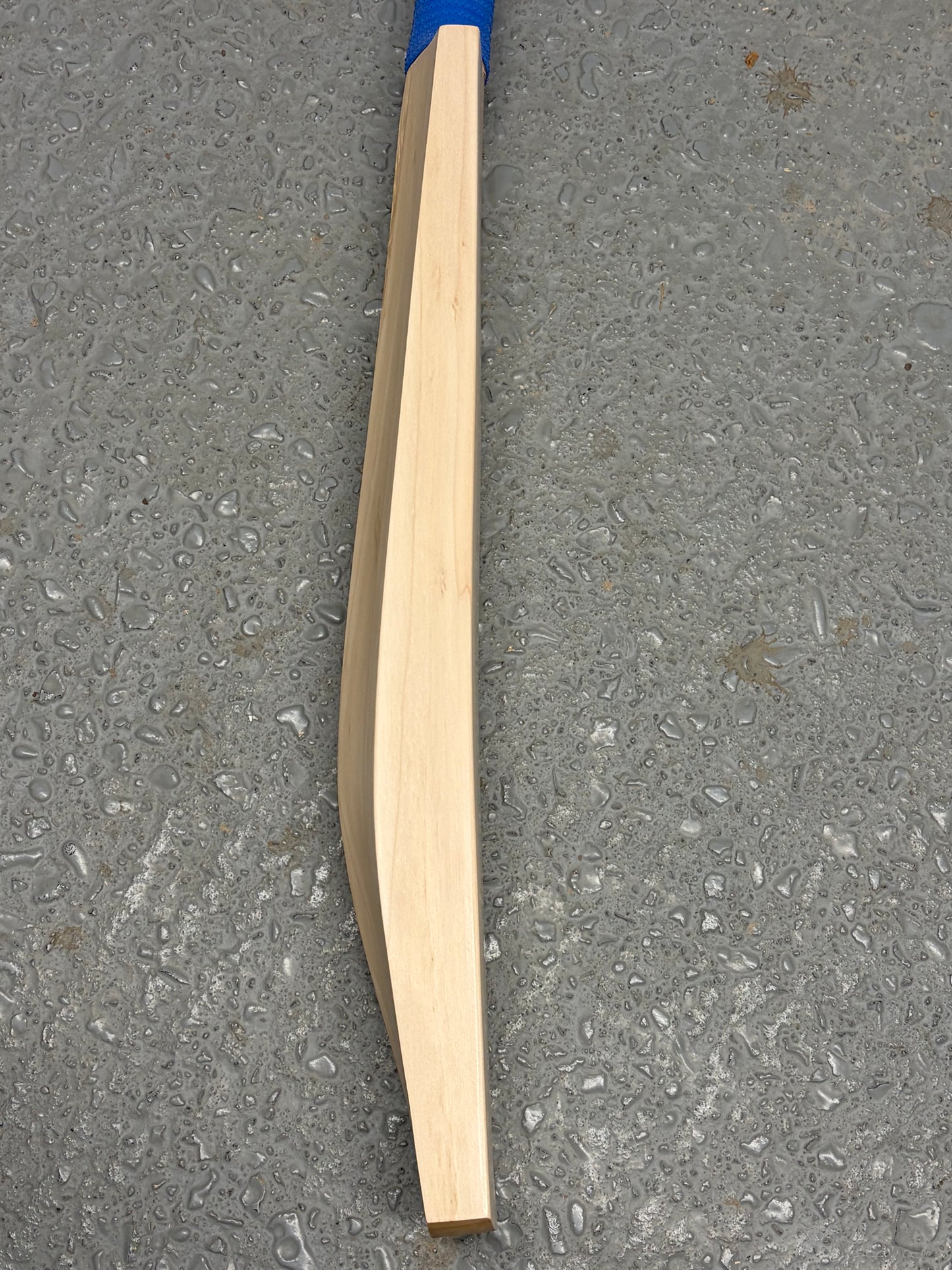 TCS Plain Grade 1 Short Blade Long Handle Cricket Bat (2lb 10oz)