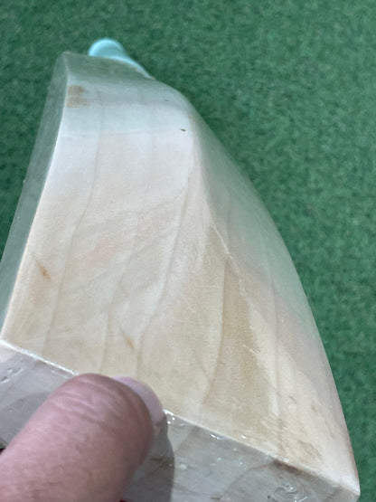 CA Plain Cricket Bat (2lb 11oz)