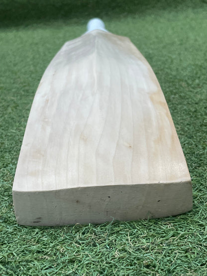 Plain Sachin Tendulkar Profile Cricket Bat (2lb 9oz)