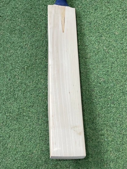 CA Plain Cricket Bat (2lb 9oz)