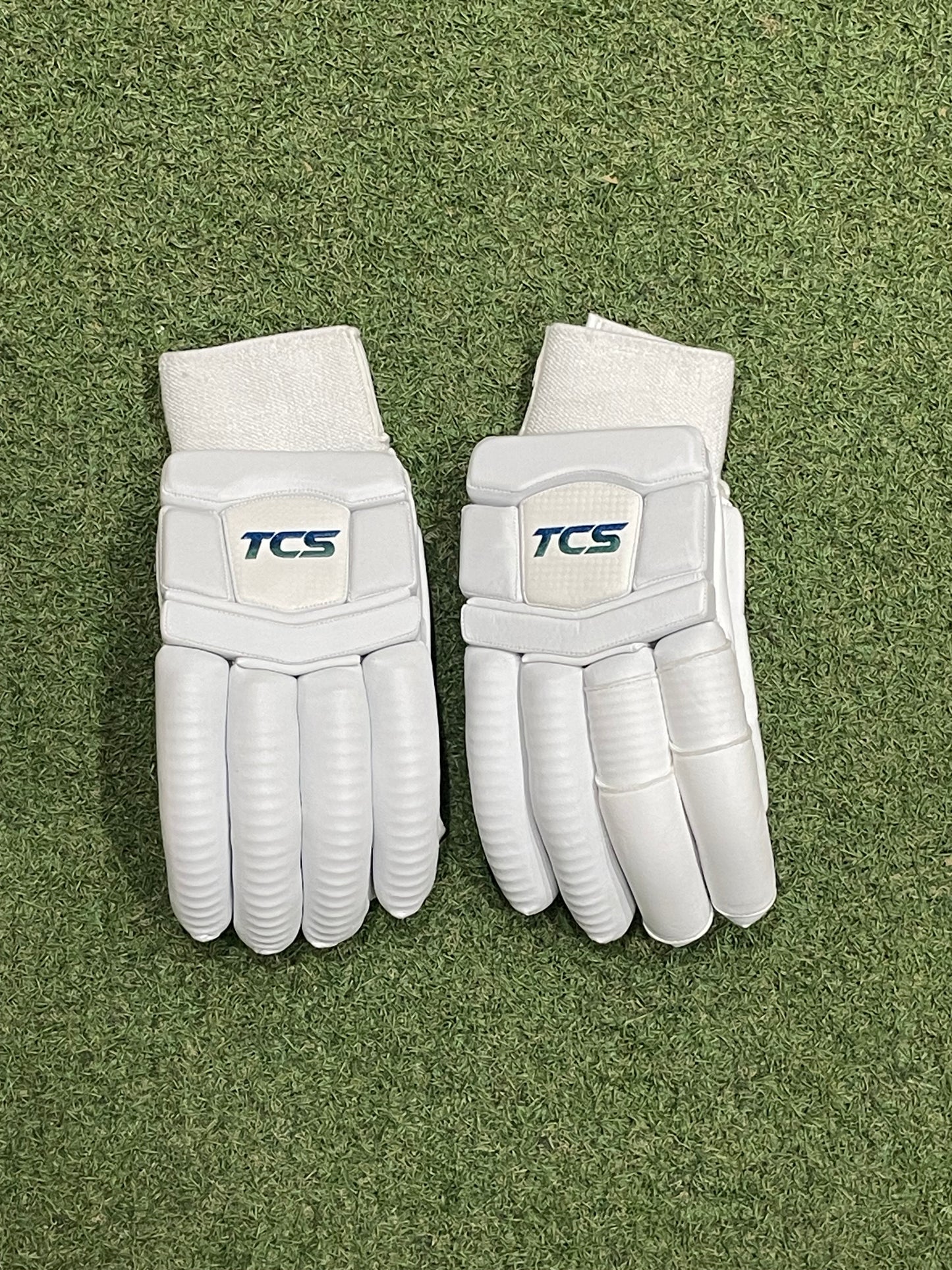 TCS Platinum Edition Batting Gloves