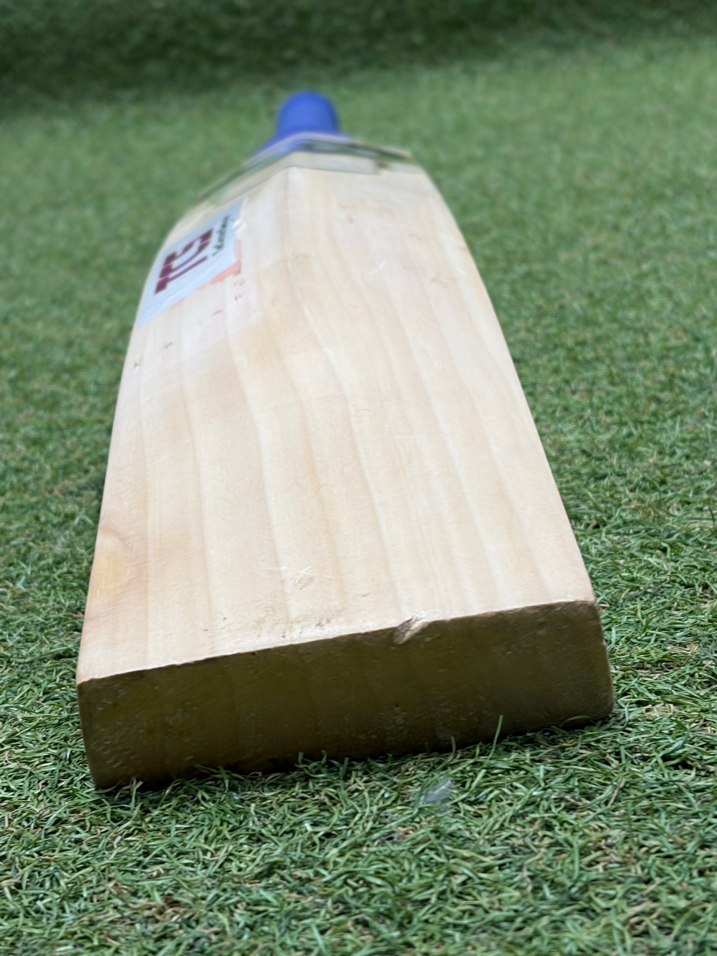 Used SG Players Edition Cricket Bat (2lb 8oz)