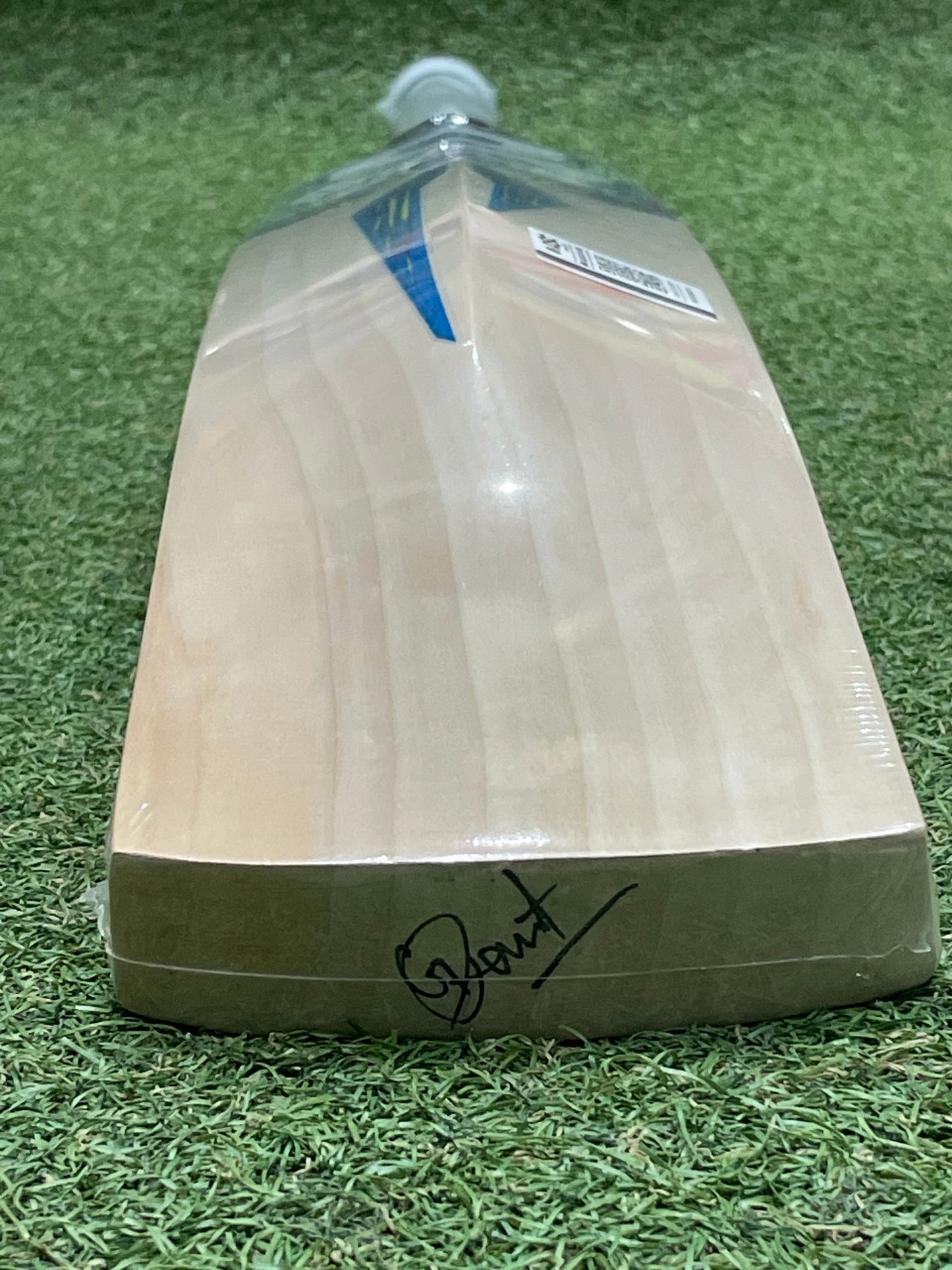 DSC Blu 450 Cricket Bat (2lb 9oz)