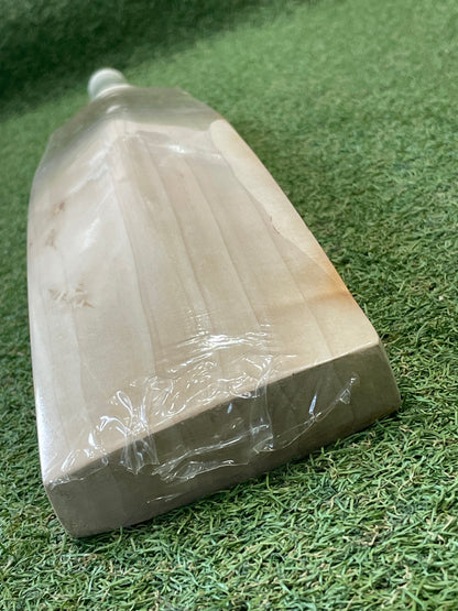 CA Plain Cricket Bat (2lb 11oz)