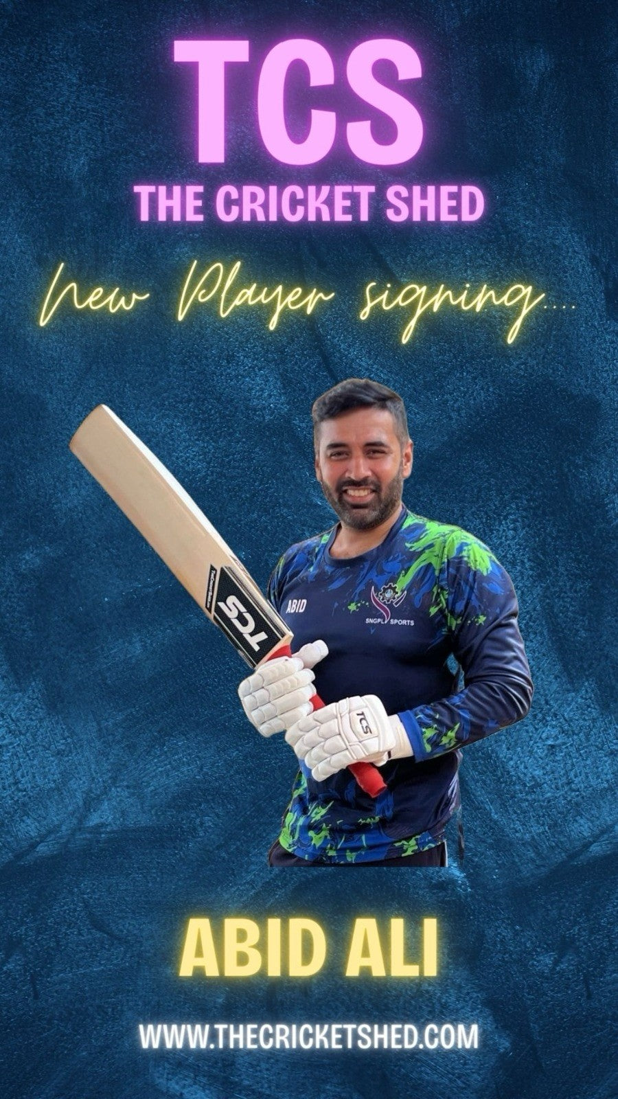 TCS Back Of The Bat Sponsor Cricket Bat Stickers