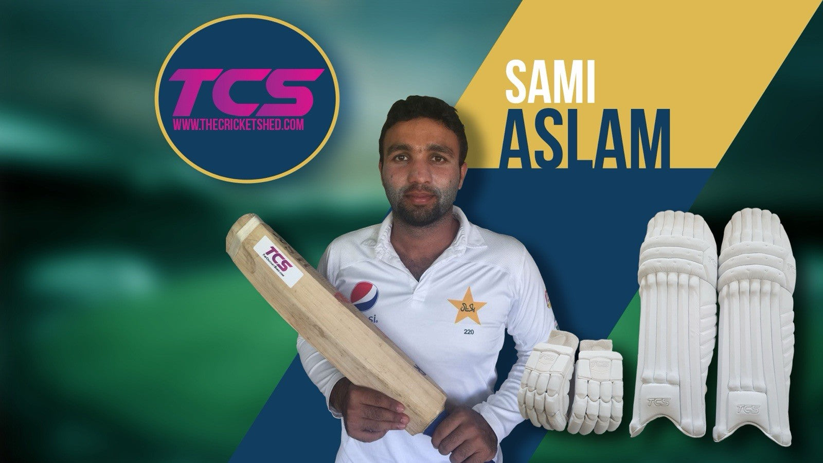 TCS Back Of The Bat Sponsor Cricket Bat Stickers