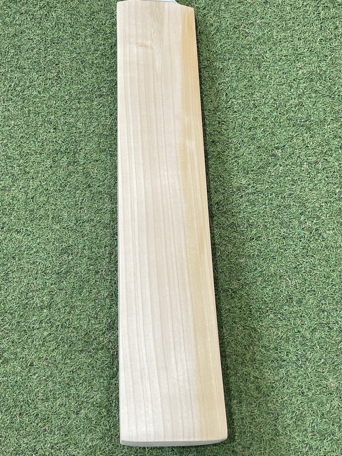 Plain Sachin Tendulkar Profile Pro Grade Cricket Bat - Brand New - 2lb 9oz