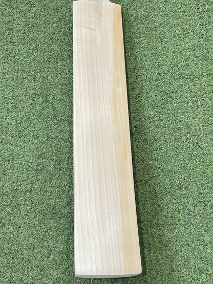 Plain Sachin Tendulkar Profile Pro Grade Cricket Bat - Brand New - 2lb 9oz