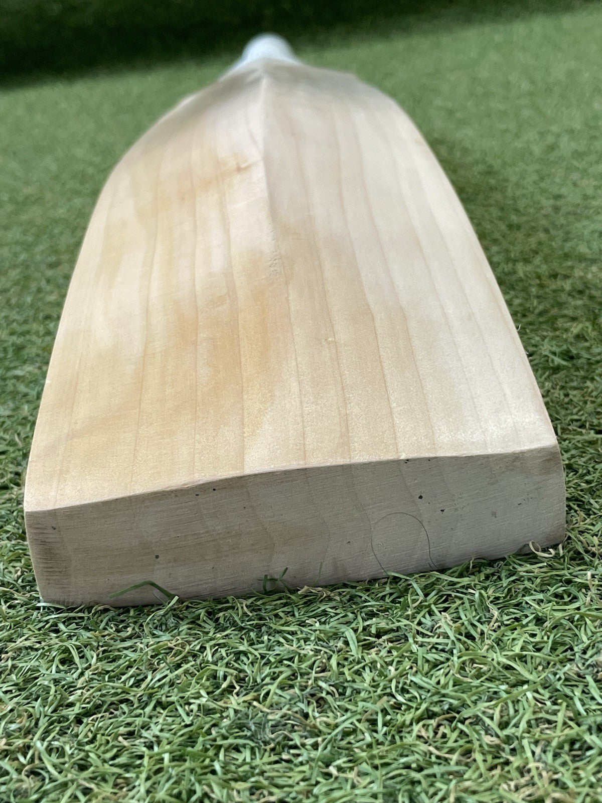 Plain Sachin Tendulkar Profile Pro Grade Cricket Bat - Brand New - 2lb 9oz