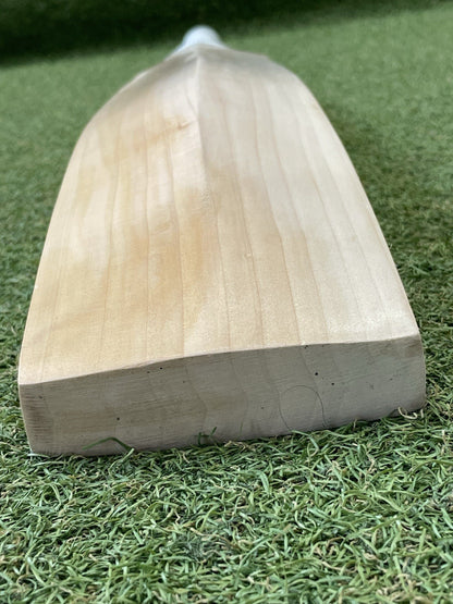 Plain Sachin Tendulkar Profile Pro Grade Cricket Bat - Brand New - 2lb 9oz