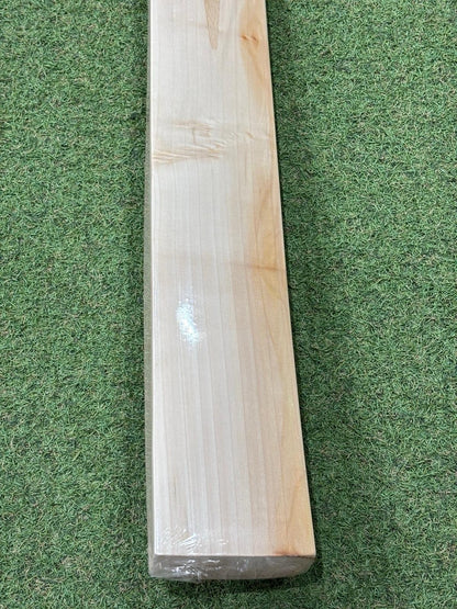 CA Plain Cricket Bat - Brand New - 2lb 10oz - Full Profile No Concaving - Rare!