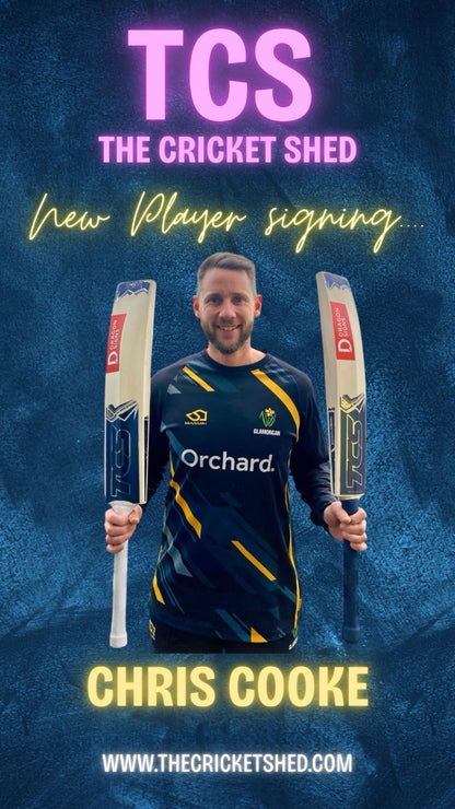 TCS Back Of The Bat Sponsor Cricket Bat Stickers