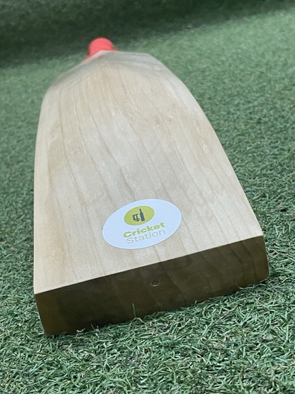 Plain Cricket Station Jason Roy Players Cricket Bat (2lb 10oz) - Brand New