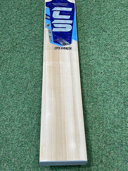 Cricket Station Speranza Cricket Bat (2lb 11oz)