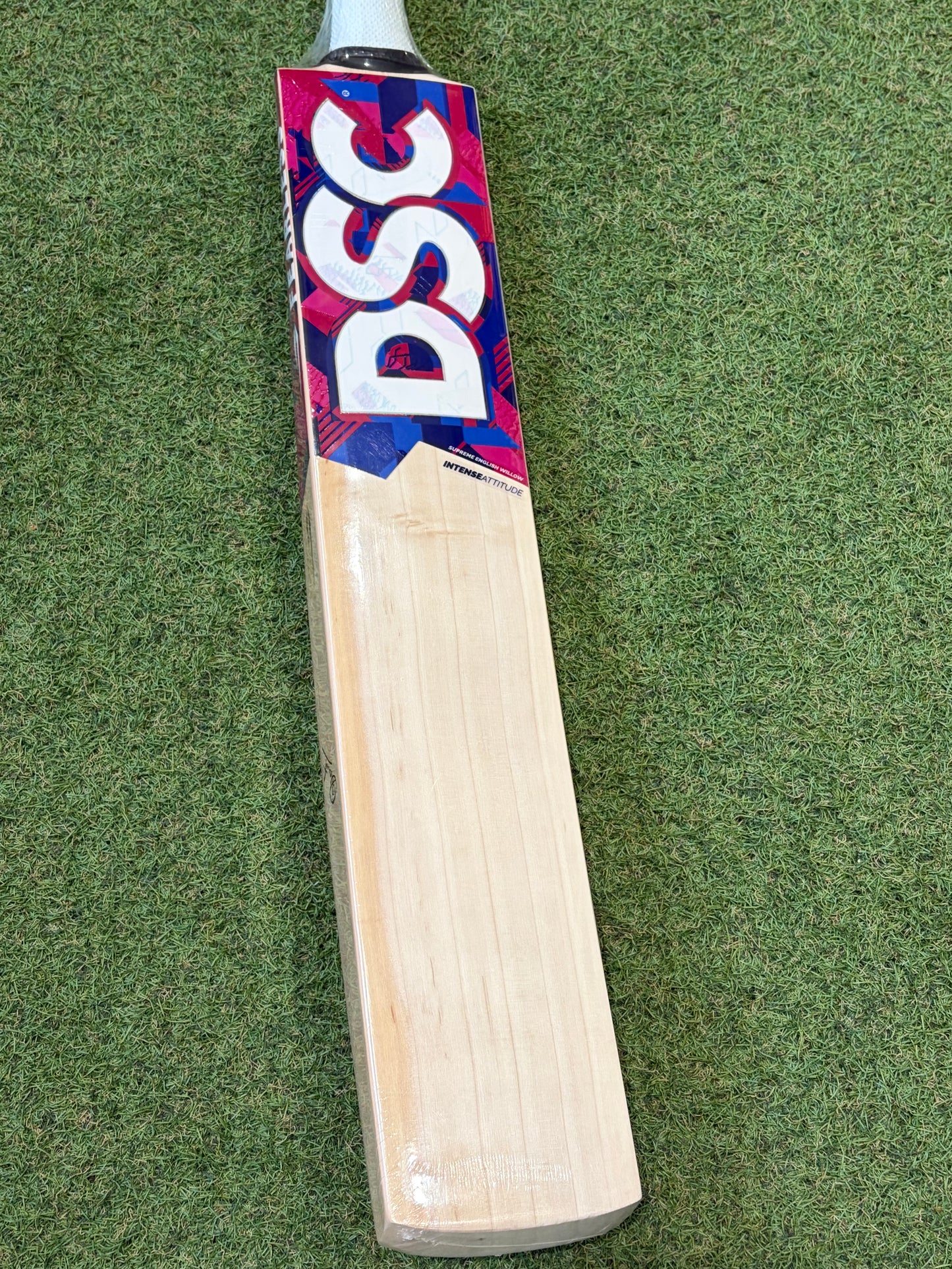 DSC Intense Attitude Cricket Bat (2lb 9oz)