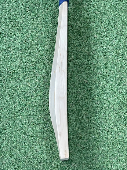 CA Plain Cricket Bat (2lb 9oz)